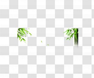 Green Leaf Area Pattern - Bamboo Transparent PNG