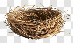 Bird Nest - Twig Bird Nest Transparent PNG