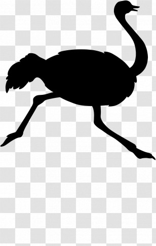 Ostrich - Silhouette Of An Ostrich Running Transparent PNG