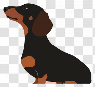 Animated Dog - Cartoon Dachshund Dog Illustration Transparent PNG