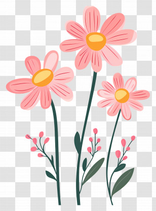 Pink Daisy Flowers - Illustration Of Pink Flowers In Bloom Transparent PNG