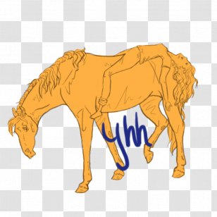 Mustang Foal Stallion Colt Donkey - Horse Like Mammal - Bidding Fee Auction Transparent PNG