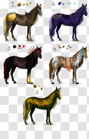 Mare Foal Stallion Colt Mustang Transparent PNG