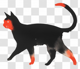 Cat Walking - Mysterious Black Cat Silhouette Transparent PNG