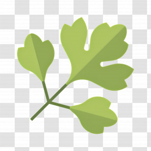 Parsley - Fresh Green Herb Leaves Illustration Transparent PNG