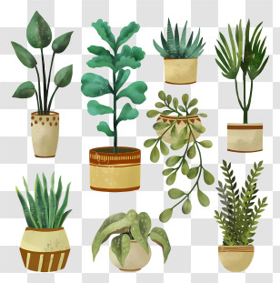 Potted Plants - Beautiful Potted Houseplants Collection Transparent PNG