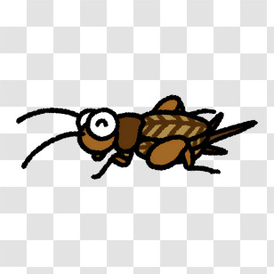 Cricket - Cartoon Brown Cricket Transparent PNG
