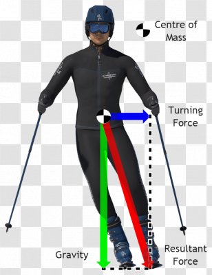 Ski Poles Alpine Skiing Winter Sport - Gravitation Transparent PNG