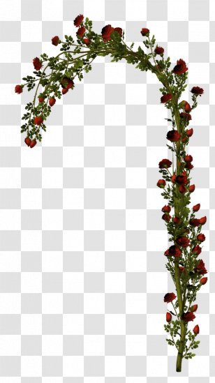Blog .de .net Clip Art - Tree - Planeta Gul'der Transparent PNG