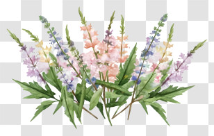 Cartoon - Wildflowers Watercolor Painting Transparent PNG
