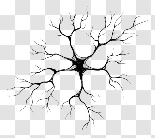 Brain Neuron Network - Neuron Illustration For Science Concept Transparent PNG