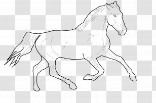 Line Art American Paint Horse Foal Mustang Pony - Drawing Transparent PNG