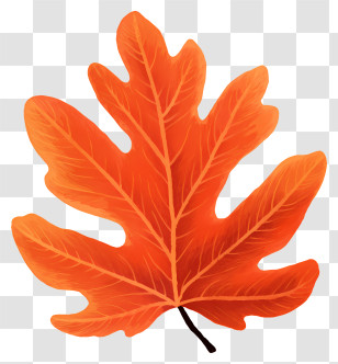 Orange Leaf - Orange Maple Leaf Illustration For Fall Transparent PNG