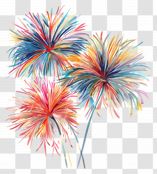 Fireworks - Colorful Fireworks Display Transparent PNG
