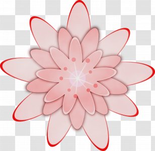 Rose - Line Art - Symmetry Water Lily Transparent PNG