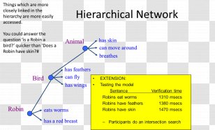 Document Semantic Memory Episodic Targeted Advertising Learning - Hierarchy - Area Transparent PNG