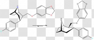 Cinnamic Acid Benzoic Phenylpropanoid PKa - Caffeic - Area Transparent PNG