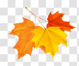 Qiufen Leaf Autumn Solar Term - Symmetry - Colorful Leaves Design Vector Material Transparent PNG