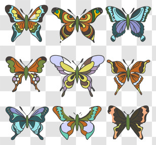 Cartoon - Colorful Collection Of Butterfly Illustrations Transparent PNG