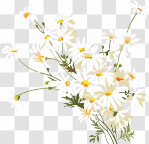Drawing Of Family - Cut Flowers - Petal Plant Stem Transparent PNG