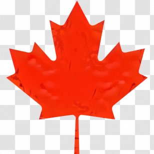 Canada Maple Leaf - Shirt - Red Flag Transparent PNG