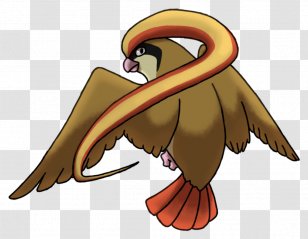 Ash Ketchum Pidgeot PokÃ©mon X And Y GO Universe - Bird Of Prey Transparent PNG