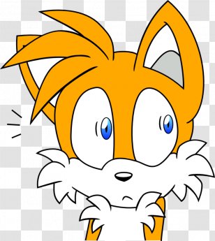 Tails Knuckles The Echidna Knuckles' Chaotix Sega - Leaf - Vector Flower Fox Tail Transparent PNG