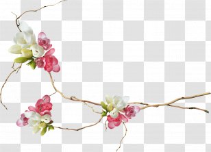 Photography Instagram - Computer Software - Elements Transparent PNG