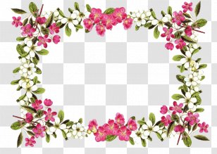Flower Clip Art - Rose - Frame Transparent PNG