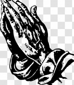 Praying Hands Prayer Clip Art - Vertebrate - Hand Transparent PNG