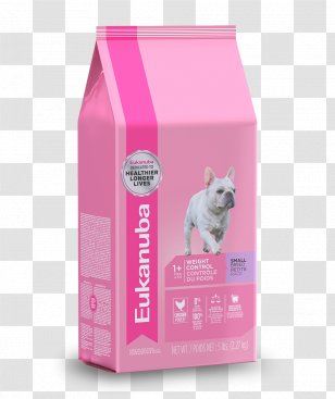 Dachshund Chihuahua Yorkshire Terrier Dog Food Cat Transparent PNG