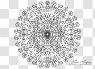 Virus Viral Envelope Diagram Virology Influenza - Monochrome Photography - Wind Mandala Transparent PNG