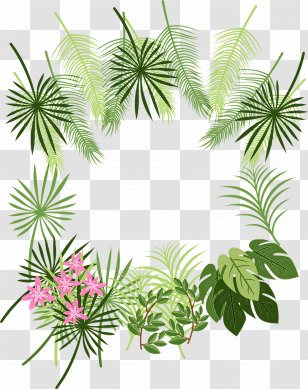 Palm Tree Background - Flower - Plant Stem Branch Transparent PNG
