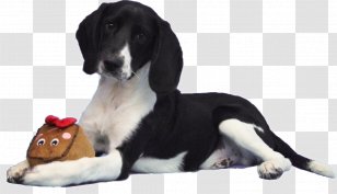 Dog Breed Puppy CHS Inc. Internet - Chs Inc - Willy Transparent PNG