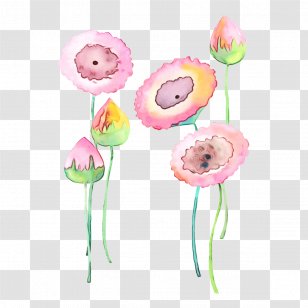 Pink Cut Flowers Flower Plant Stem Transparent PNG