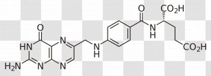 Folate Dietary Supplement B Vitamins Folinic Acid - Symbol - YEAST Transparent PNG