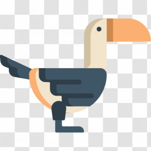 Water Bird Cygnini Goose Duck - Anatidae - Toucan Transparent PNG