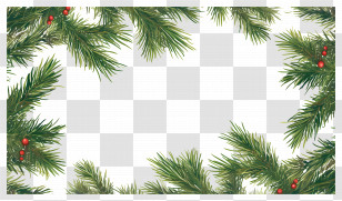 Christmas Pine Frame - Festive Pine Tree Frame With Red Berries Transparent PNG