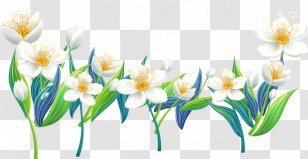 Flower Clip Art - Plant Transparent PNG