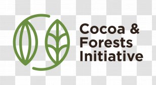 Cocoa Bean Forest Chocolate Theobroma Cacao World Resources Institute Transparent PNG