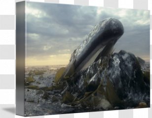 Gallery Wrap Canvas Stock Photography Art - Fauna - Grey Whale Transparent PNG