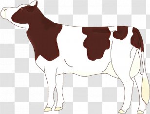 Clip Art Dairy Cow Tail Bovine Fawn Transparent PNG