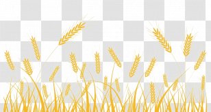 Royalty-free Clip Art - Barley - Wheat Decoration Transparent PNG