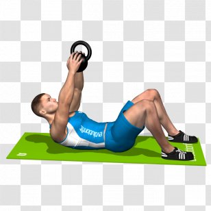 Physical Fitness Crunch Kettlebell Exercise Rectus Abdominis Muscle - Tree - Curl Up Transparent PNG