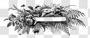 Visual Arts - Artwork - Flower Banner Transparent PNG