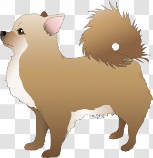 Dog Breed Puppy Chihuahua Illustration Clip Art Transparent PNG