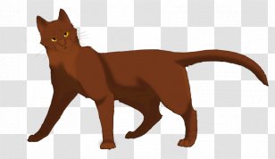 Cat Warriors Erin Hunter Moonrise The Darkest Hour Transparent PNG
