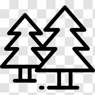 Pine - Area - Cone Element Transparent PNG