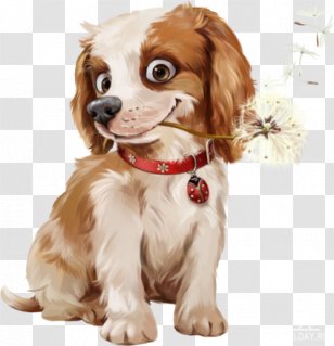 Puppy Pomeranian Painting Shetland Sheepdog Yorkshire Terrier Transparent PNG