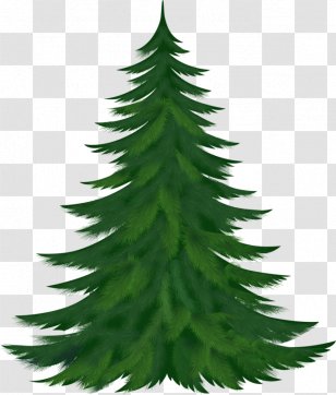 Candy Cane Christmas Tree Clip Art - Pine Family Transparent PNG
